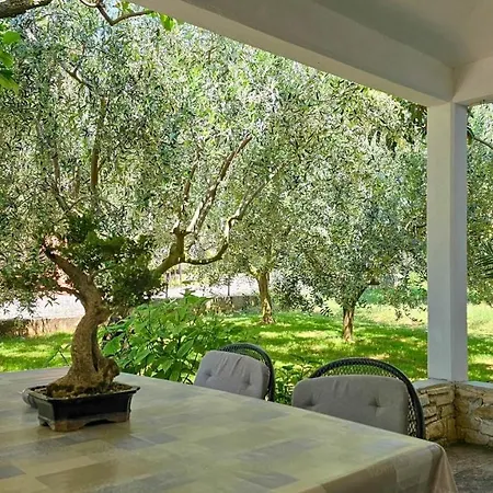 Daire Pjerina Four *